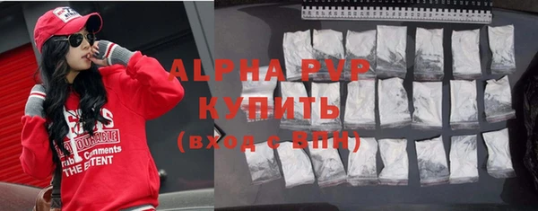 крисы Магадан