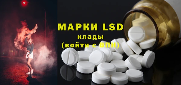 крисы Магас