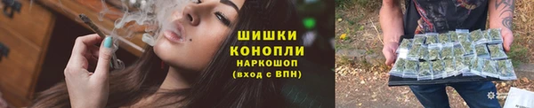 крисы Магадан