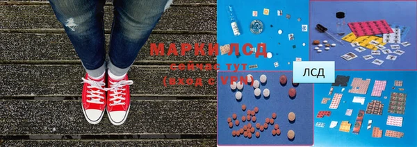 крисы Магас