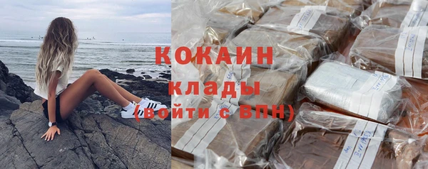 крисы Магас