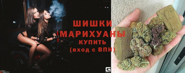 крисы Магас
