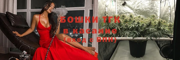 крисы Магадан